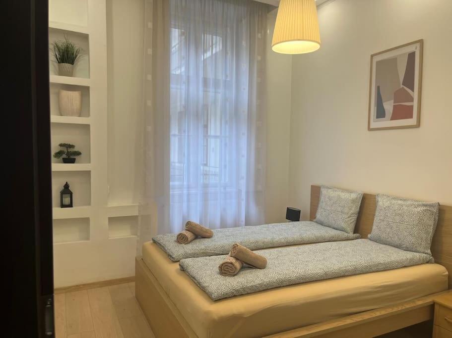 בודפשט Szechenyi Renovated 2Br At Danube River מראה חיצוני תמונה