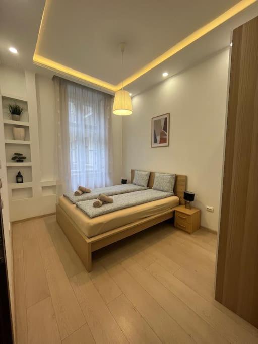 בודפשט Szechenyi Renovated 2Br At Danube River מראה חיצוני תמונה